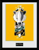 Harry Potter: Patience (Stampa In Cornice 30x40cm)