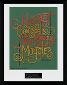 Fantastic Beasts 2: No-Maj (Stampa In Cornice 30x40cm)