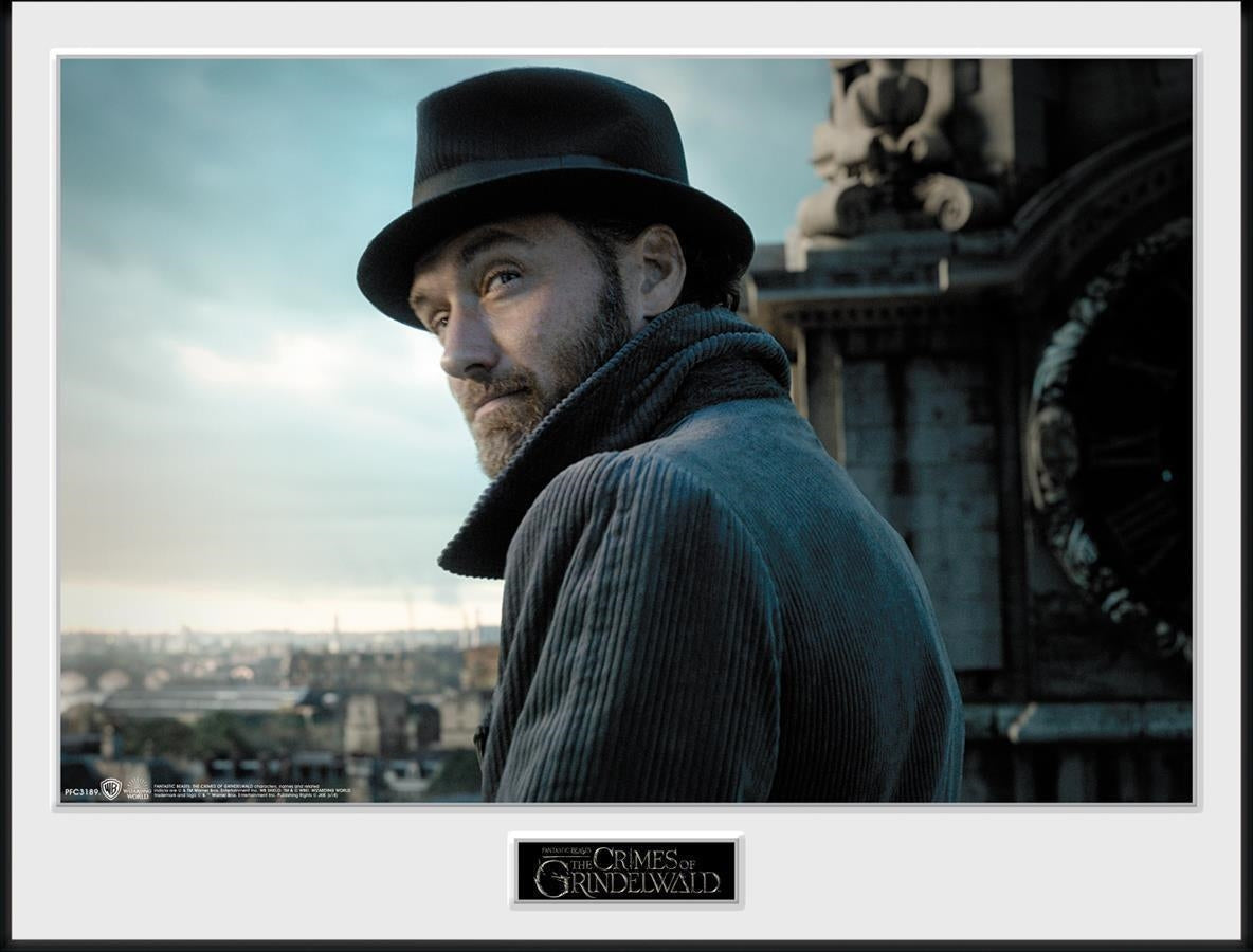 Fantastic Beasts 2: Albus Dumbledore (Stampa In Cornice 30x40cm)