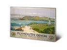 Pyramid: Plymouth - 3 (Stampa Su Legno 59X40Cm)