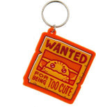 Star Wars The Mandalorian (Grougu Wanted) Pvc Keychain