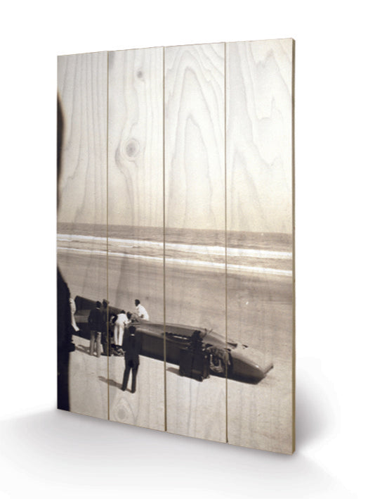 Pyramid: Bluebird (Stampa Su Legno 59X40Cm)