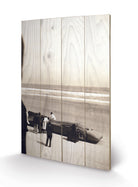 Pyramid: Bluebird (Stampa Su Legno 59X40Cm)