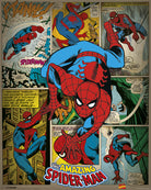 Marvel: Pyramid - Spider-Man - Retro (Poster Mini 40x50 Cm)