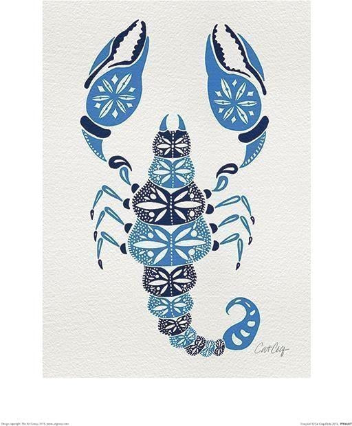 Cat Coquillette: Pyramid - Scorpion (Stampa 30X40 Cm)