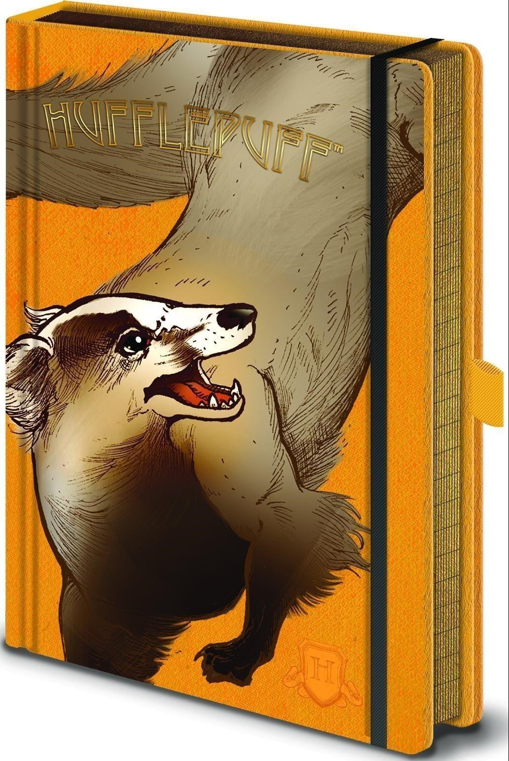 Harry Potter: Pyramid - Intricate Houses Hufflepuff A5 Premium Notebook (Quaderno)