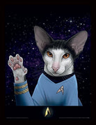 Star Trek: Pyramid - Cats - Spock Paw (Collector Print / Stampa in Cornice 30x40)