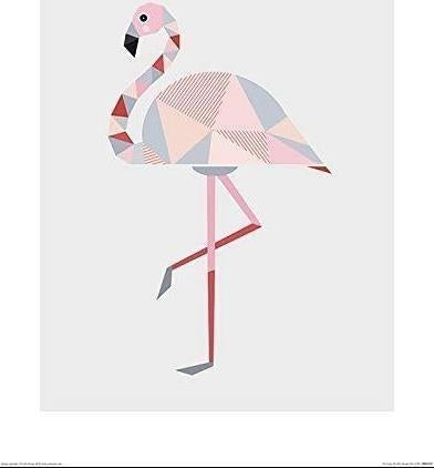 Pyramid: Anne-Marie Butlin- Flamingo -Canvas Print 60X60cm- (Stampa Su Tela)