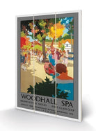 Pyramid: Woodhall Spa (Holidaymakers By Howard K Elcock) Micro Wood (Stampa Su Legno)