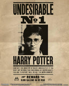 Harry Potter: Pyramid - Potter / Sirius - 25X20 Cm (3D Lenticular Print / Stampa)