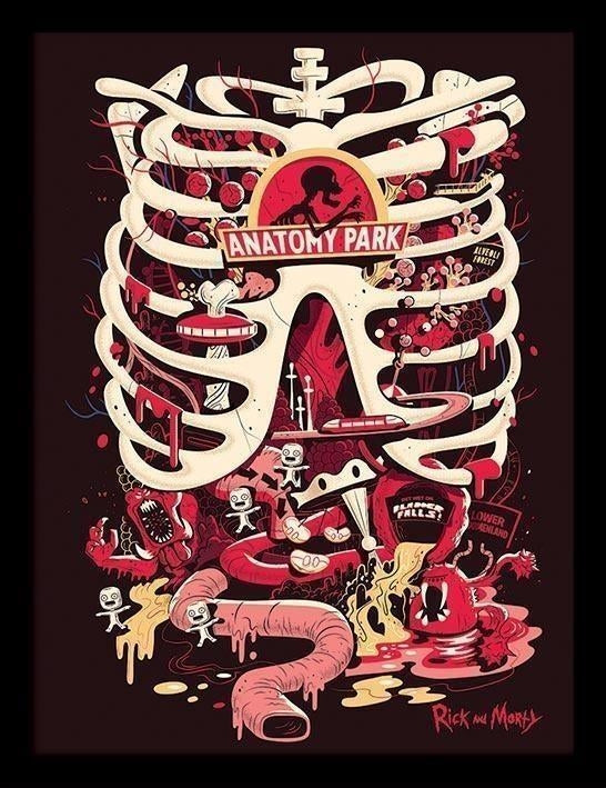 Rick And Morty: Pyramid - Anatomy Park (Stampa In Cornice 30X40 Cm)