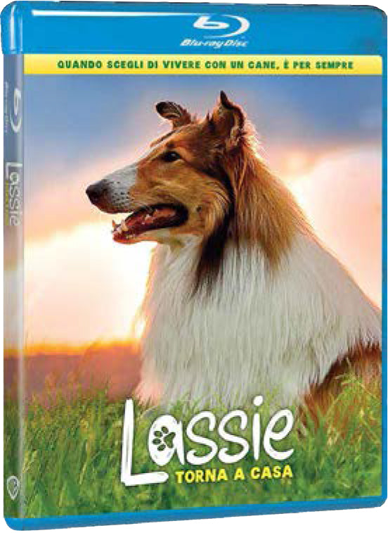 Lassie Torna A Casa