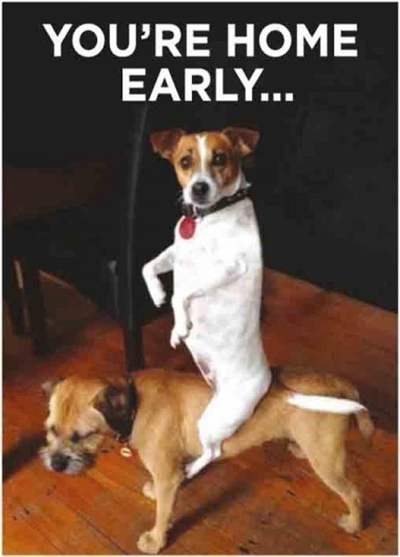 Half Moon Bay: Retro Humour - Home Early (Magnete)