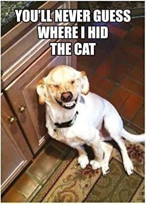 Half Moon Bay: Retro Humour - Hid Cat (Magnete)