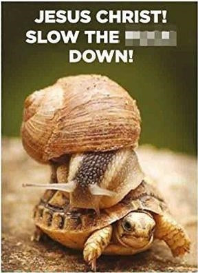 Half Moon Bay: Retro Humour - Slow Down (Magnete)