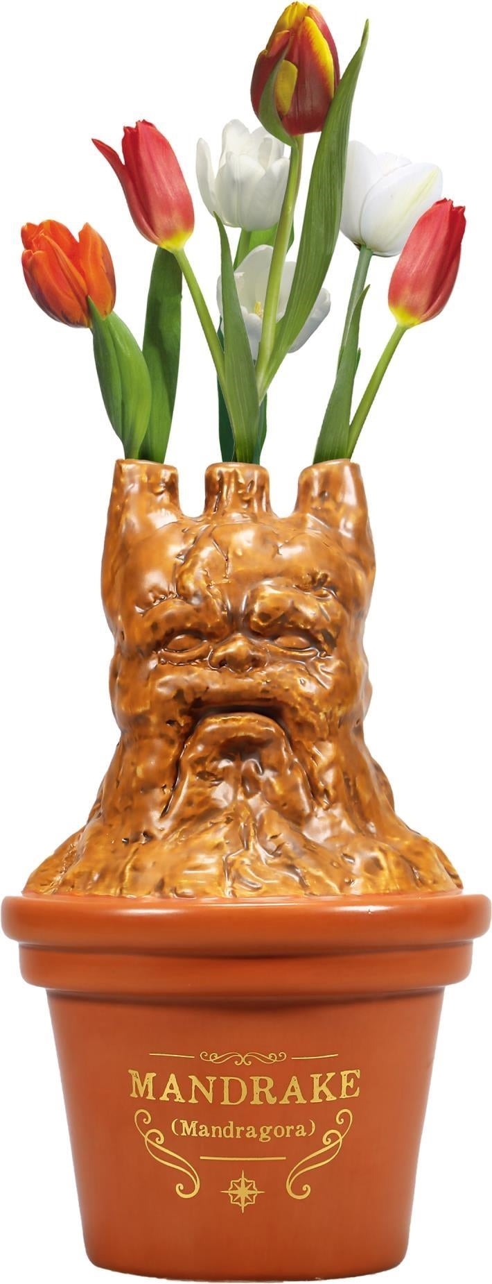 Harry Potter: Half Moon Bay - Mandrake (Table Top Vase / Vaso Da Tavolo)