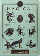 Harry Potter: Half Moon Bay - Magical Creatures (Quaderno A5 Flexi)