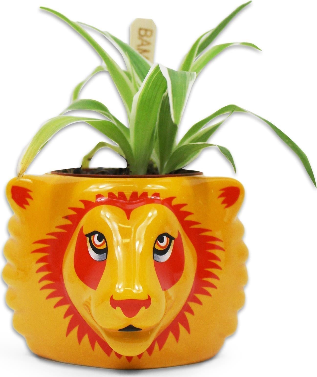 Harry Potter: Half Moon Bay - Gryffindor (Plant Pot / Vaso Da Fiori)