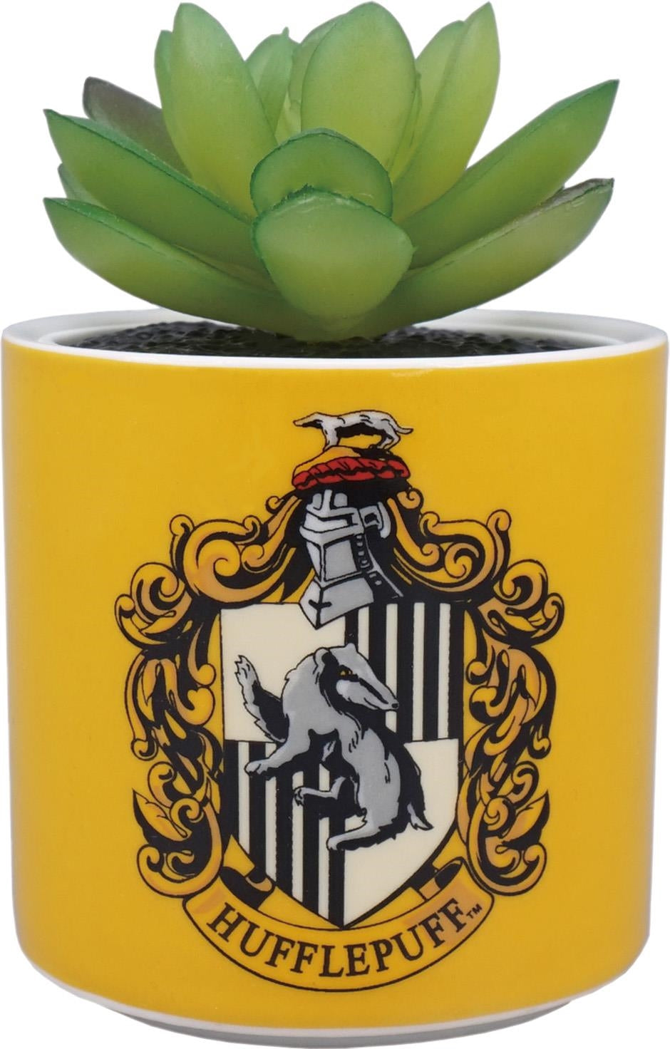 Harry Potter: Half Moon Bay - Hufflepuff (Plant Pot Faux Boxed 6.5 Cm / Pianta Finta Con Vaso)