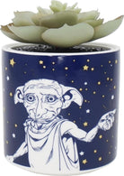 Harry Potter: Half Moon Bay - Dobby (Plant Pot Faux Boxed 6.5 Cm / Pianta Finta Con Vaso)