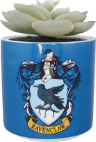 Harry Potter: Half Moon Bay - Ravenclaw(Plant Pot Faux Boxed 6.5 Cm / Pianta Finta Con Vaso)