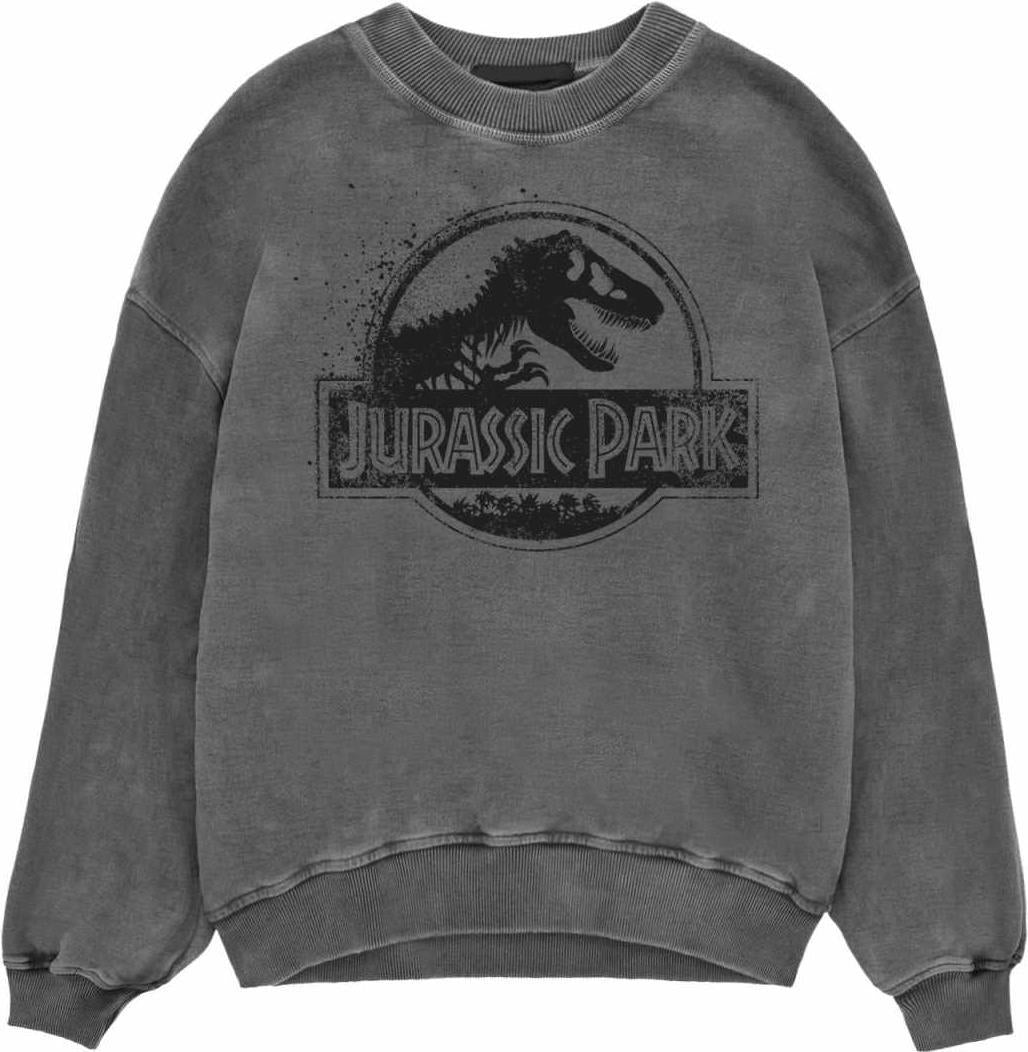 Jurassic Park: Spray Logo (Superheroes Inc. Acid Wash) (Felpa Unisex Tg. M)