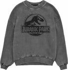 Jurassic Park: Spray Logo (Superheroes Inc. Acid Wash) (Felpa Unisex Tg. M)