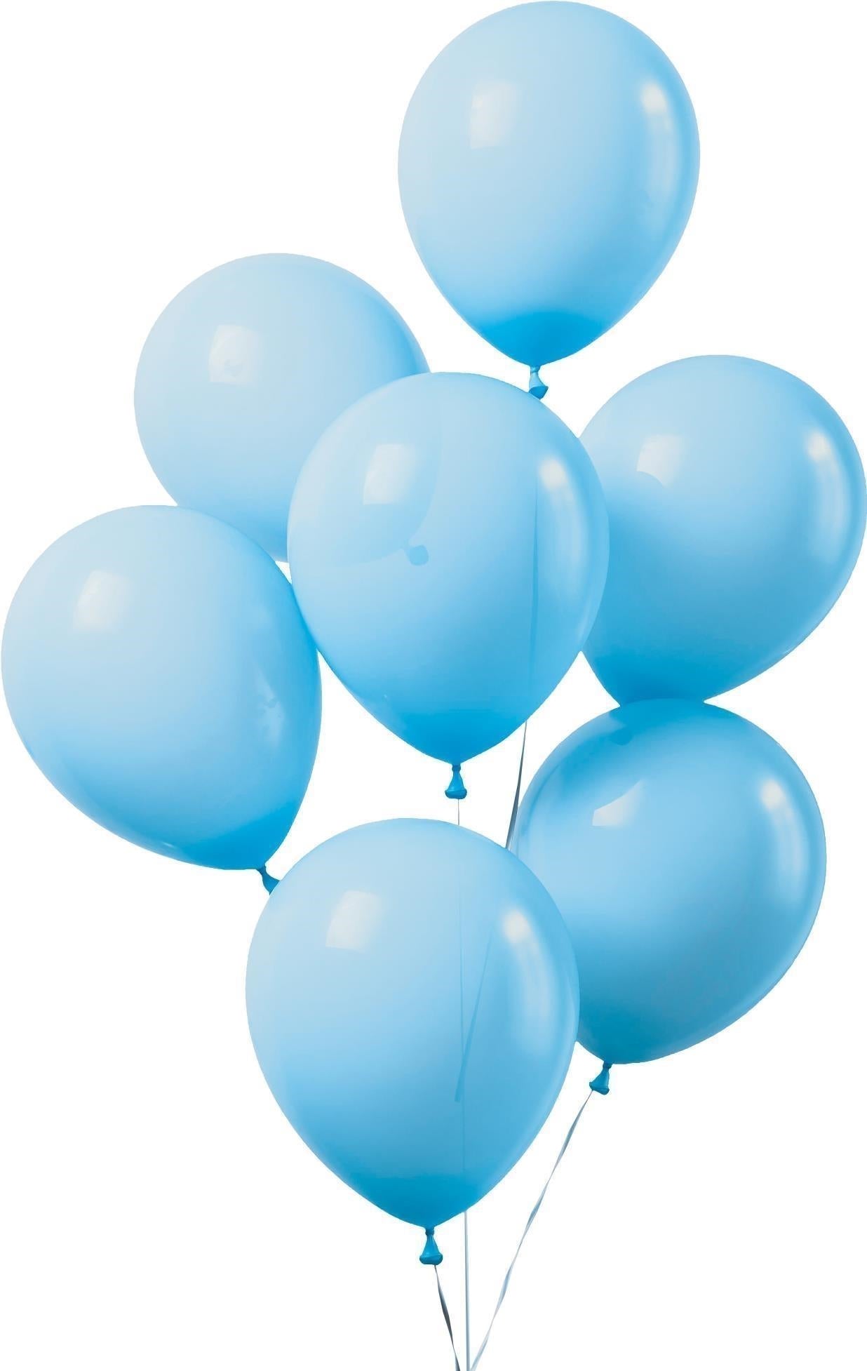 Carnival Toys: It 20 Palloncini Azzurri Diam.Cm.26 In Busta C/Cav.