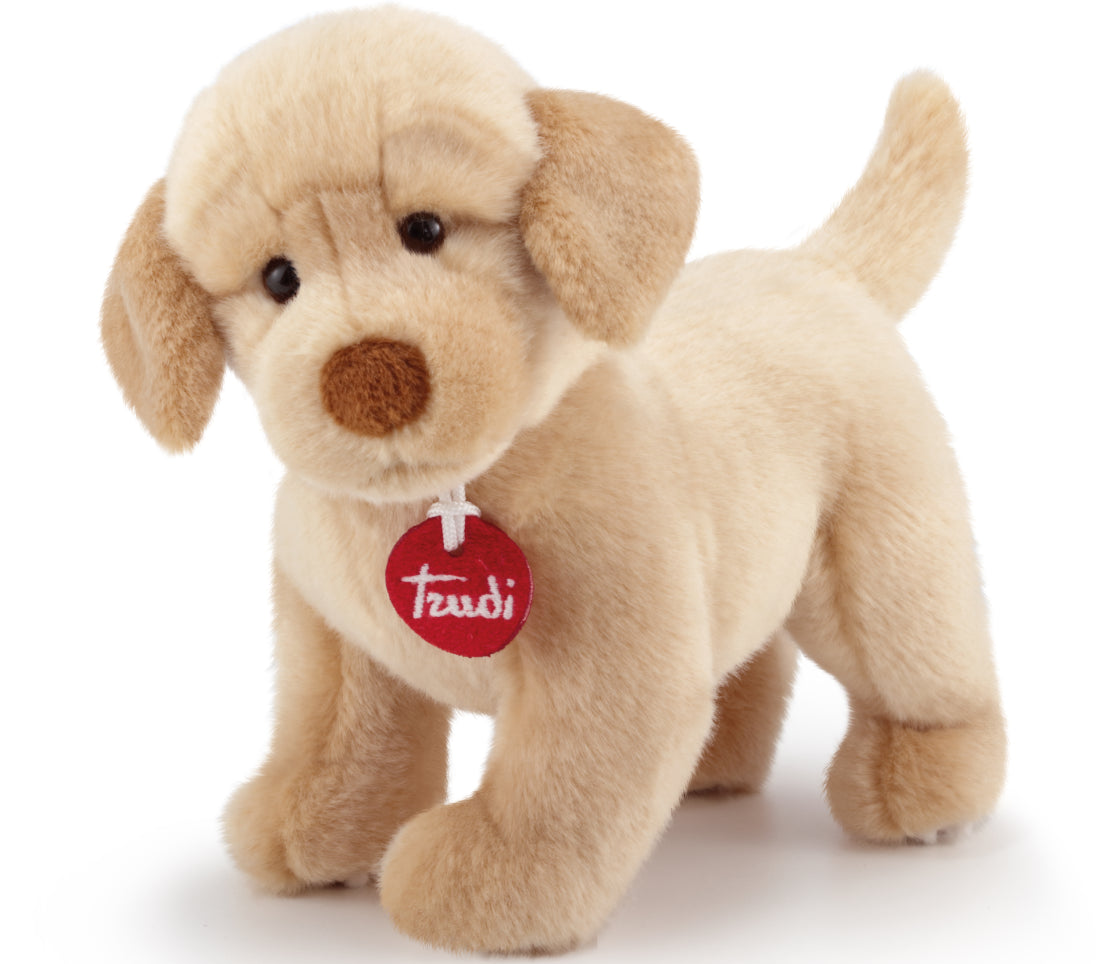 Trudi: Labrador Liam Tg. S