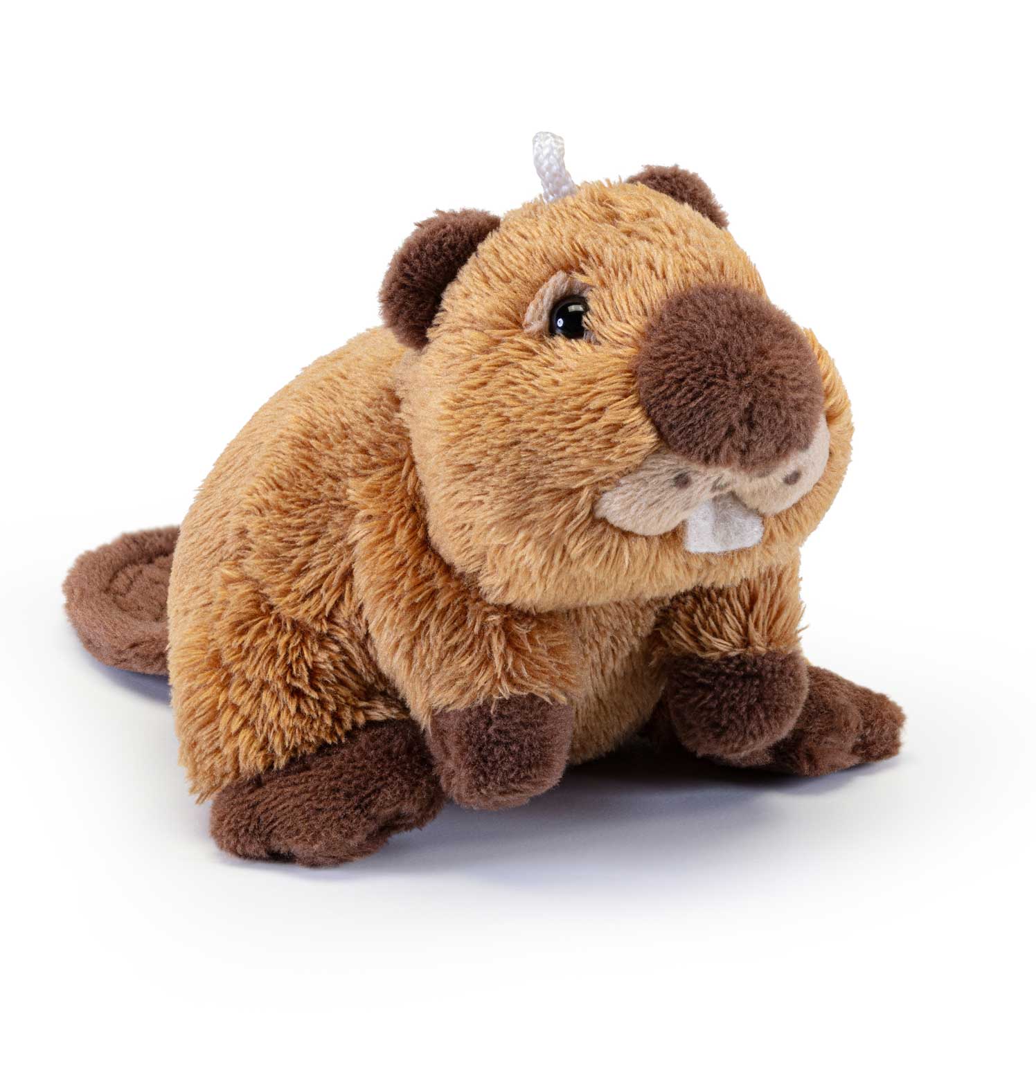 Trudi: Sweet Collection - Castoro Tg. 2XS