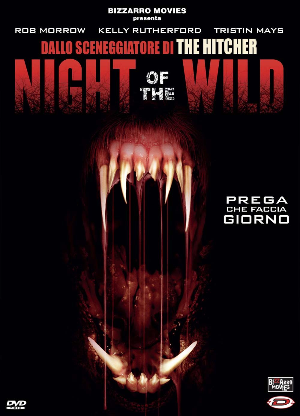 Night Of The Wild