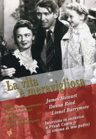 Vita E' Meravigliosa (La)
