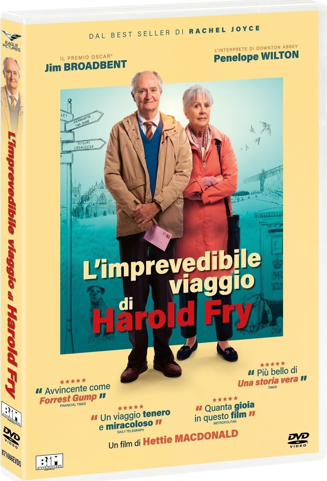 Imprevedibile Viaggio Di Harold Fry (L')