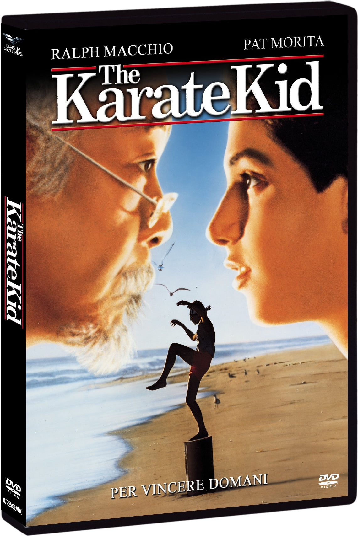 Karate Kid (The) - Per Vincere Domani