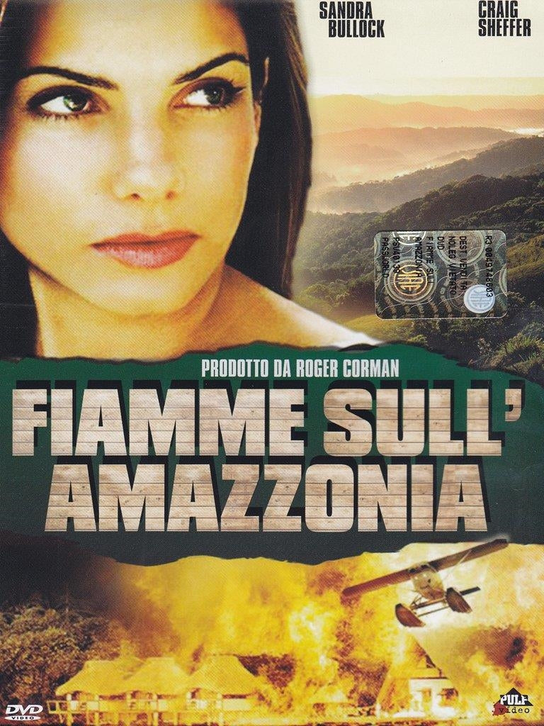 Fiamme Sull'Amazzonia