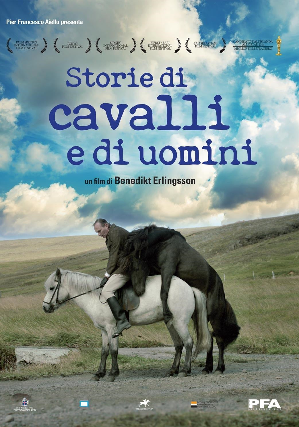 Storie Di Cavalli E Di Uomini