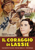 Coraggio Di Lassie (Il)