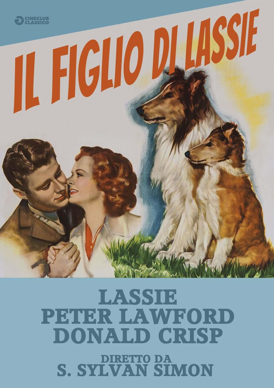 Figlio Di Lassie (Il)