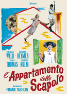 Appartamento Dello Scapolo (L')