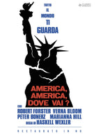 America, America, Dove Vai? (Restaurato In Hd)