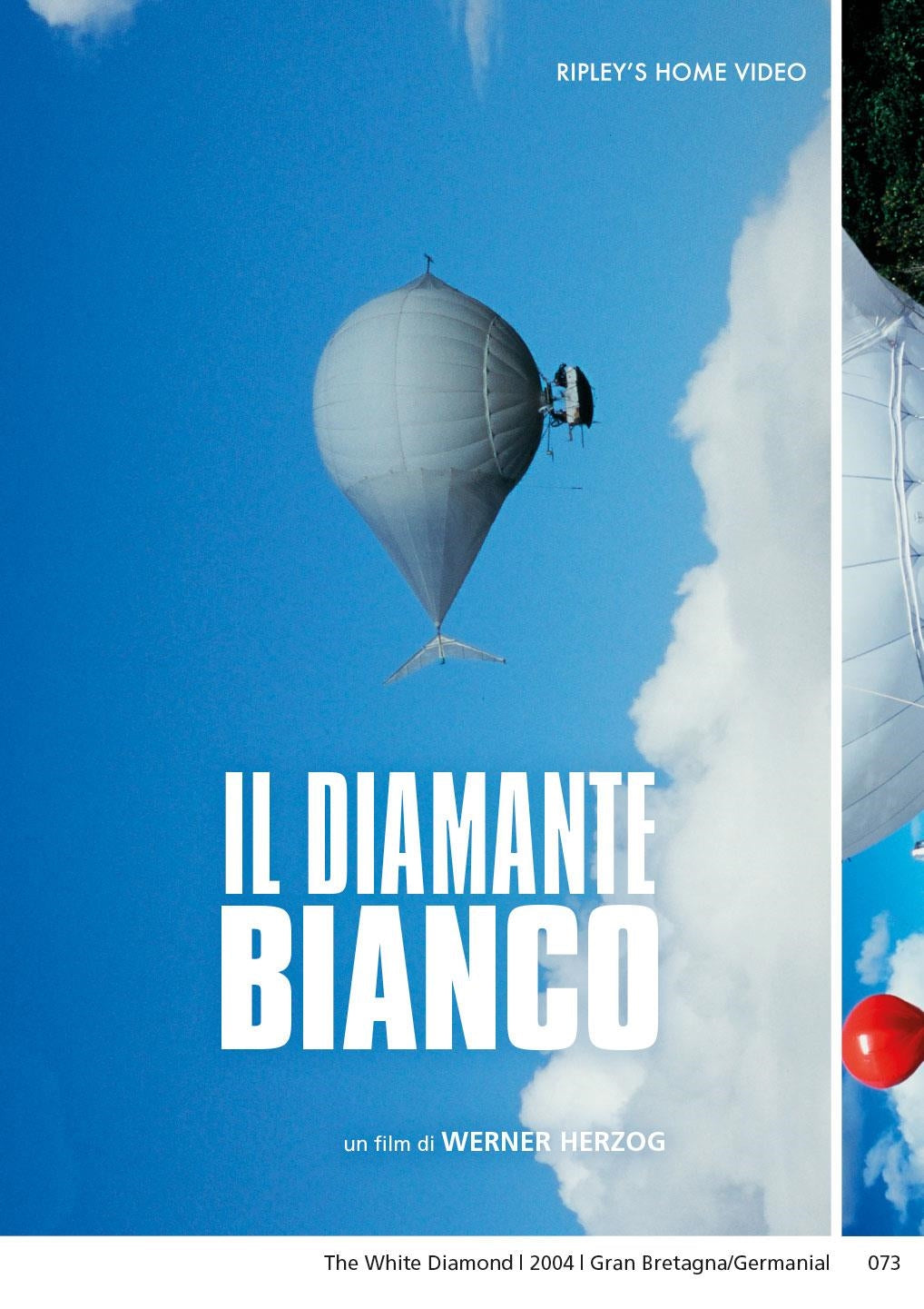 Diamante Bianco (Il)