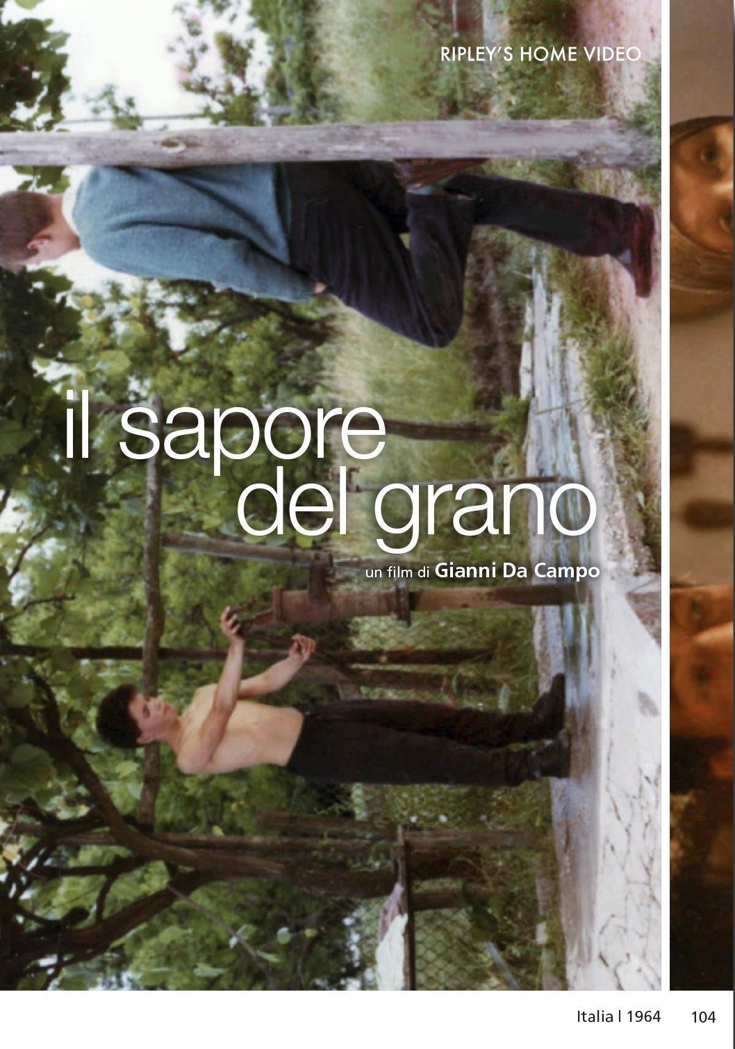 Sapore Del Grano (Il)