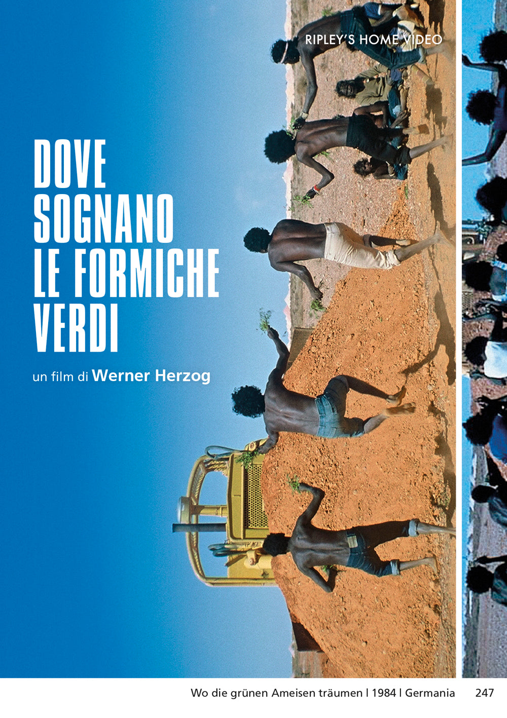 Dove Sognano Le Formiche Verdi