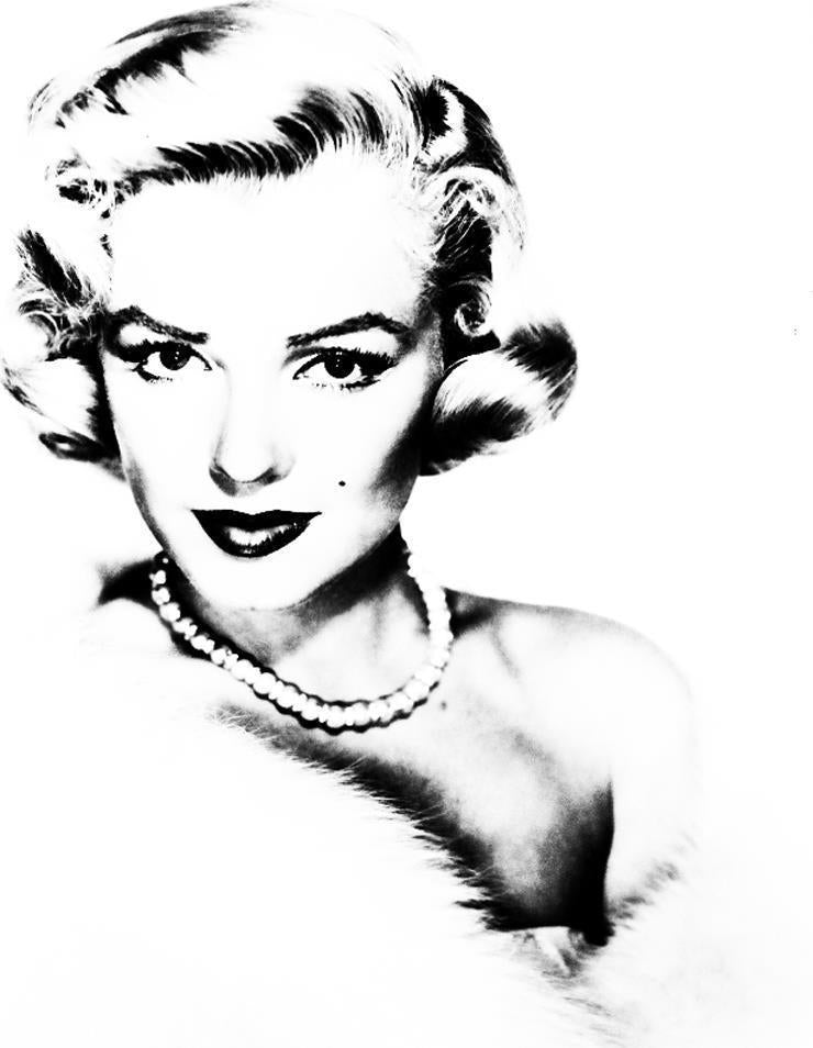 Imagicom Photomdays09 - Marilyn Black & White Photomural 200X254