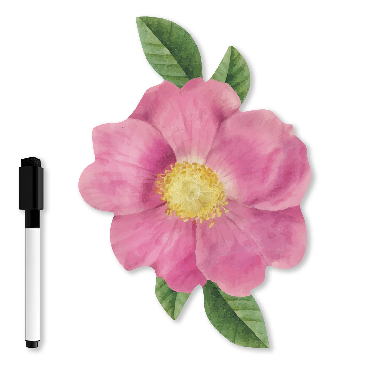 Imagicom: A3 Magnetic Shape Botanical