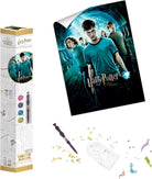 Harry Potter: Nice - Diamantiny Wizarding Art 50X70 Ass.