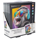 Nice: Diamantiny Quadro Assortimento 3