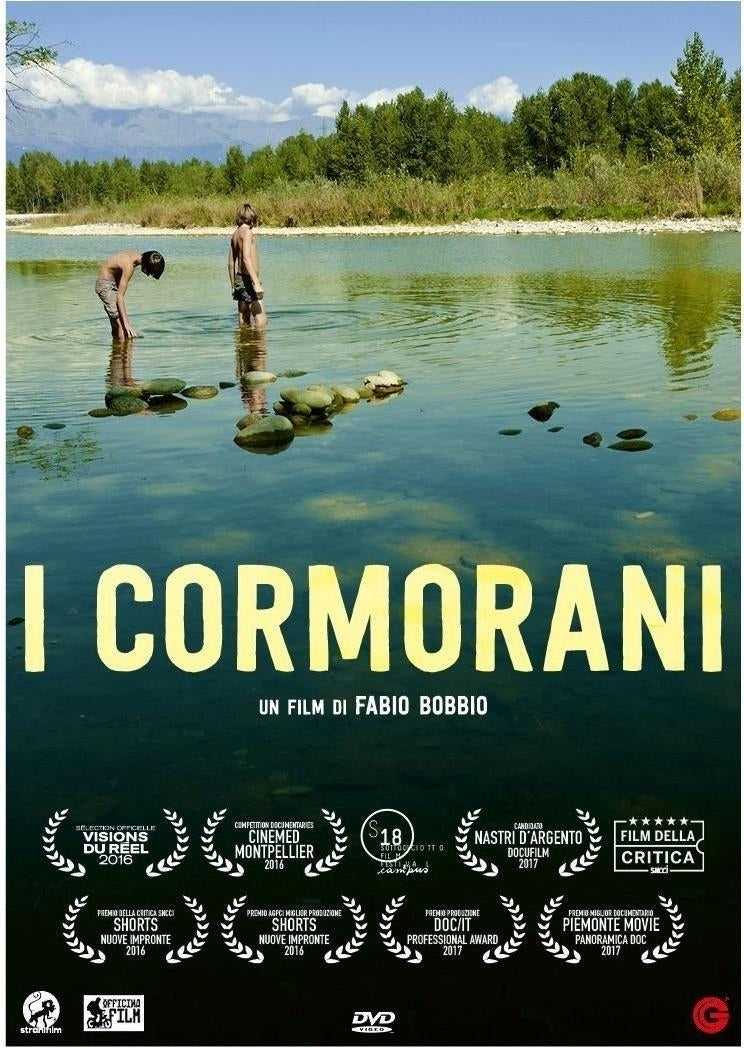 Cormorani (I)