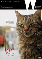 Kedi - La Citta' Dei Gatti