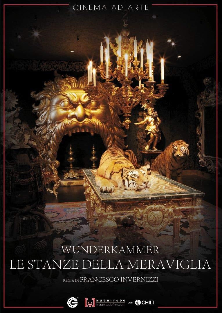 Wow - La Stanza Delle Meraviglie